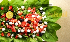 Saladaa | Order Salads Online in Chennai | Fresh, Healthy Fo